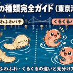 バチの種類完全ガイド（東京湾奥編）ふわふわバチとくるくるバチの違い